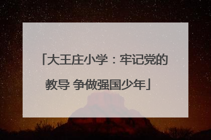 大王庄小学：牢记党的教导 争做强国少年